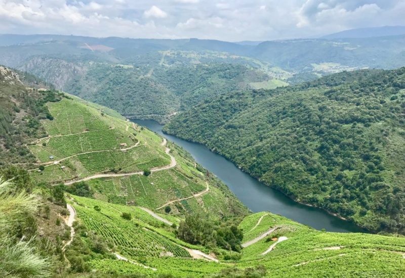 Ribeira Sacra natural wine blog